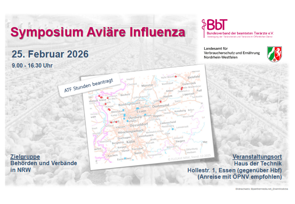 Piktogramm AI LAVE 2026