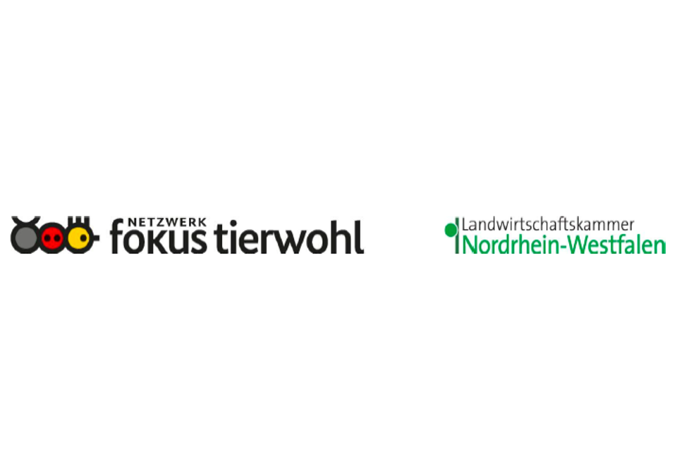 Piktogramm Netzwerk Fokus Tierwohl